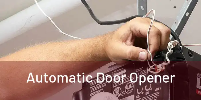  Automatic Door Opener 